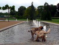 Ohrdrufer Schlosspark